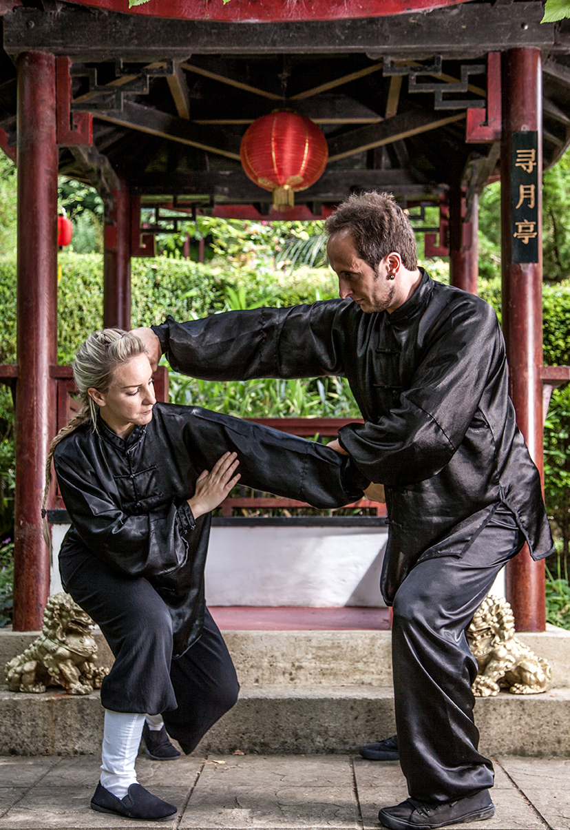 curriculum martial arts worcester
